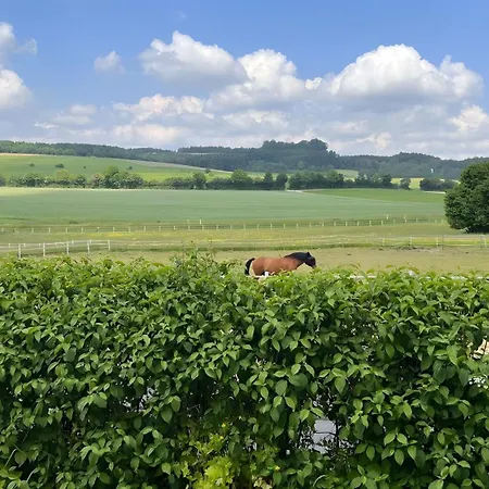 Apartman Eifel-quartier *